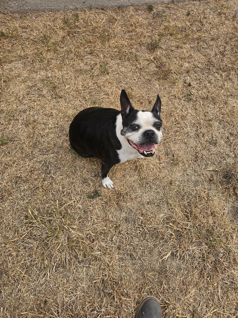 Murphy thumbnail 3