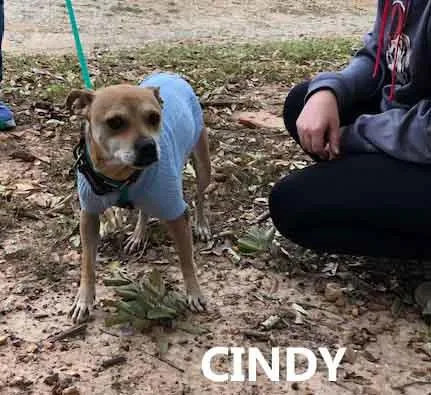 Cindy thumbnail 2