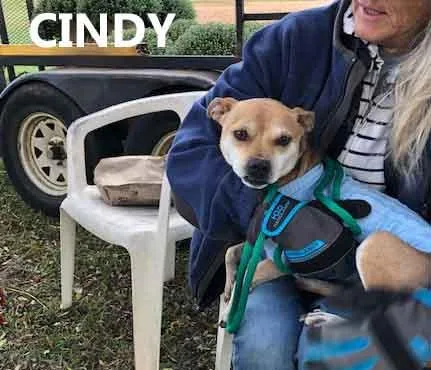 Cindy thumbnail 3