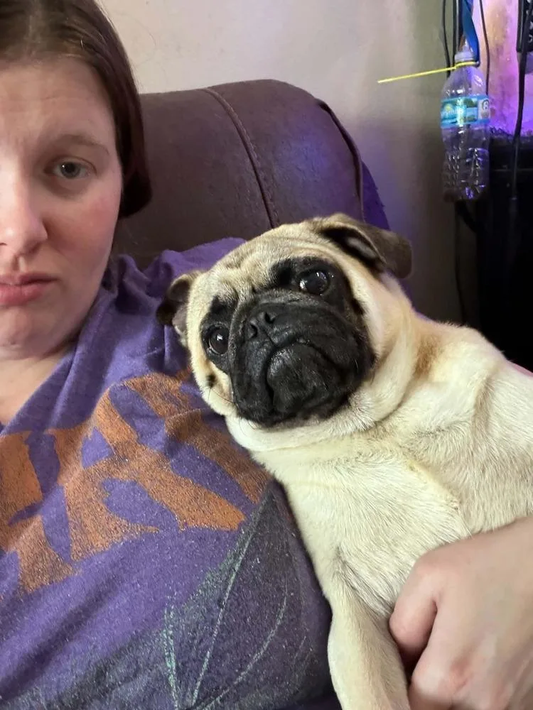 Pugsy