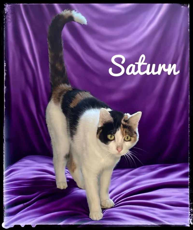 Saturn
