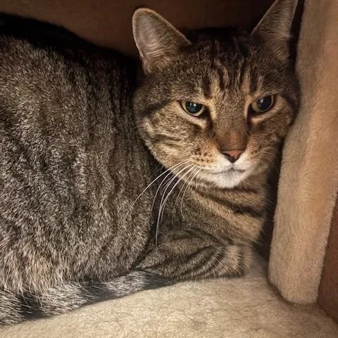 Sam & Spike thumbnail 2