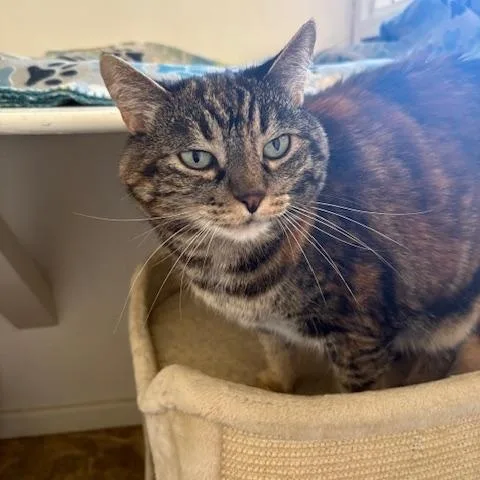 Sam & Spike thumbnail 3