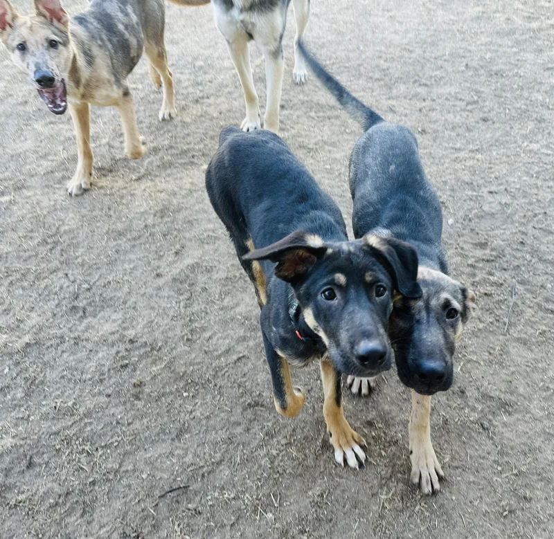 Flynn Ryder thumbnail 2