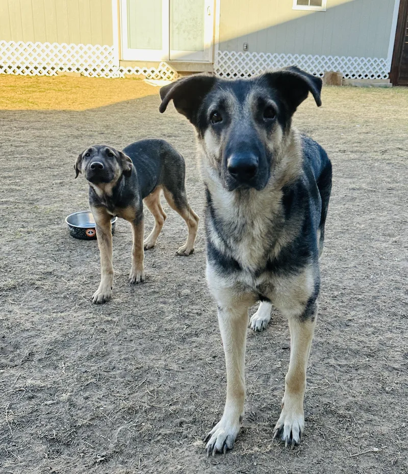 Flynn Ryder thumbnail 3