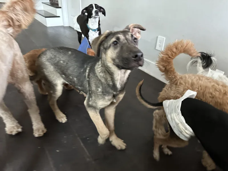 Flynn Ryder thumbnail 4