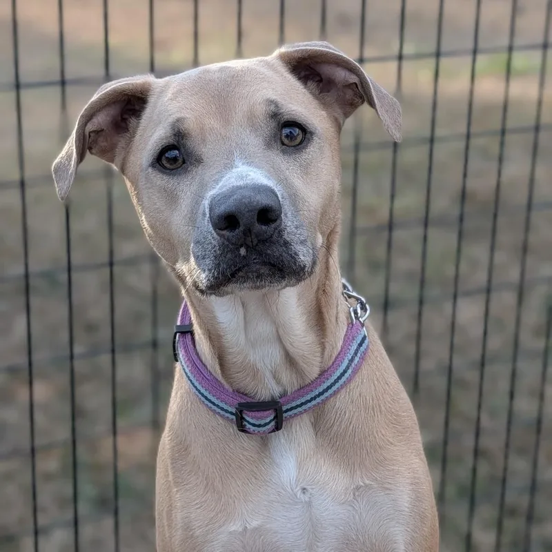 Francesca thumbnail 2