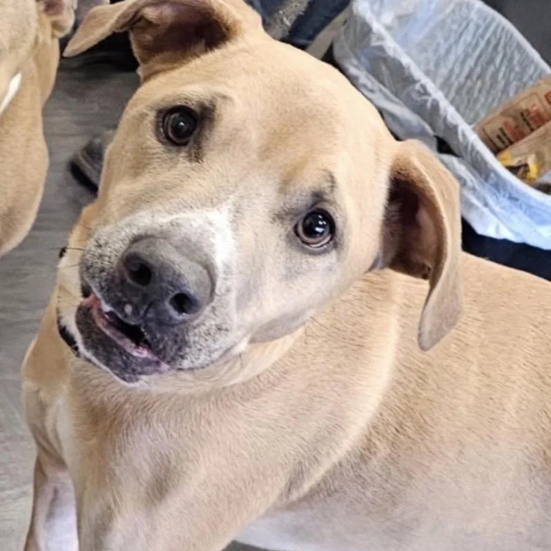 Francesca thumbnail 3