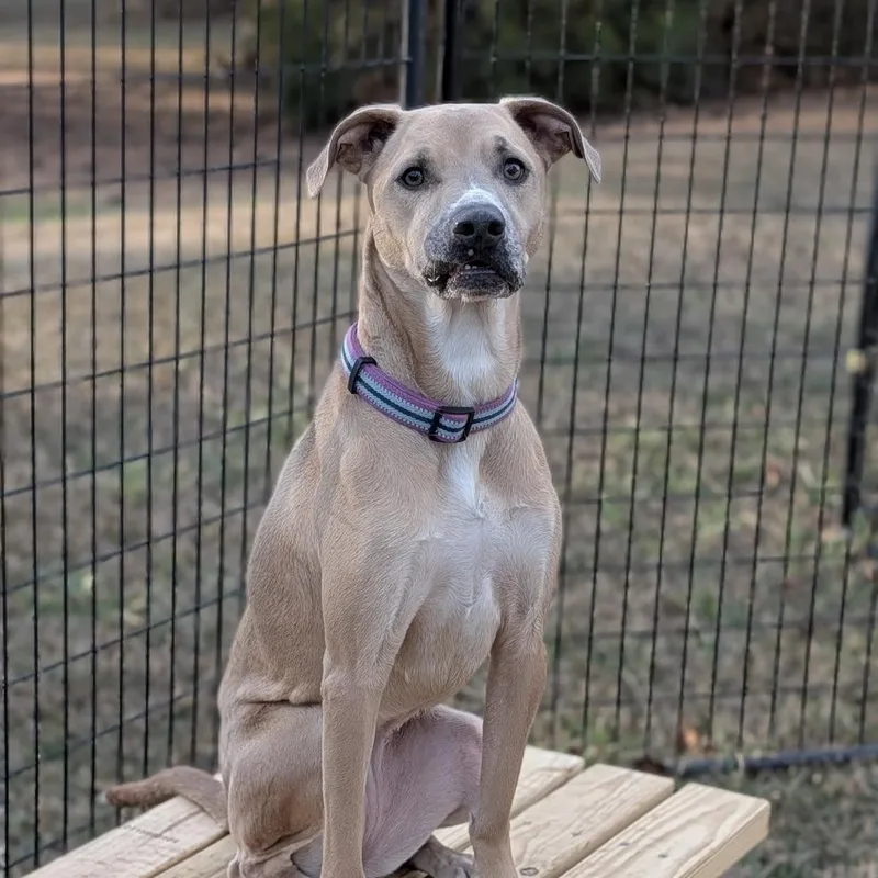 Francesca thumbnail 4