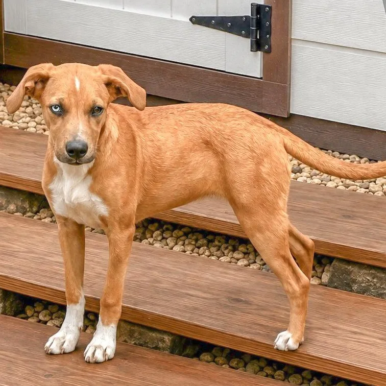 Skye aka Renee