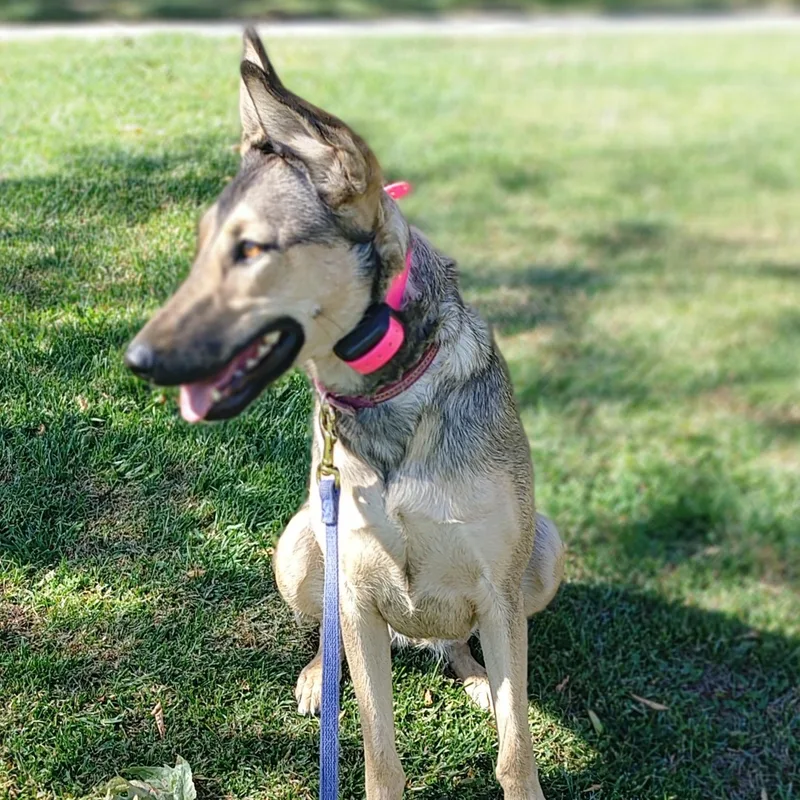 Lyla Liu thumbnail 3