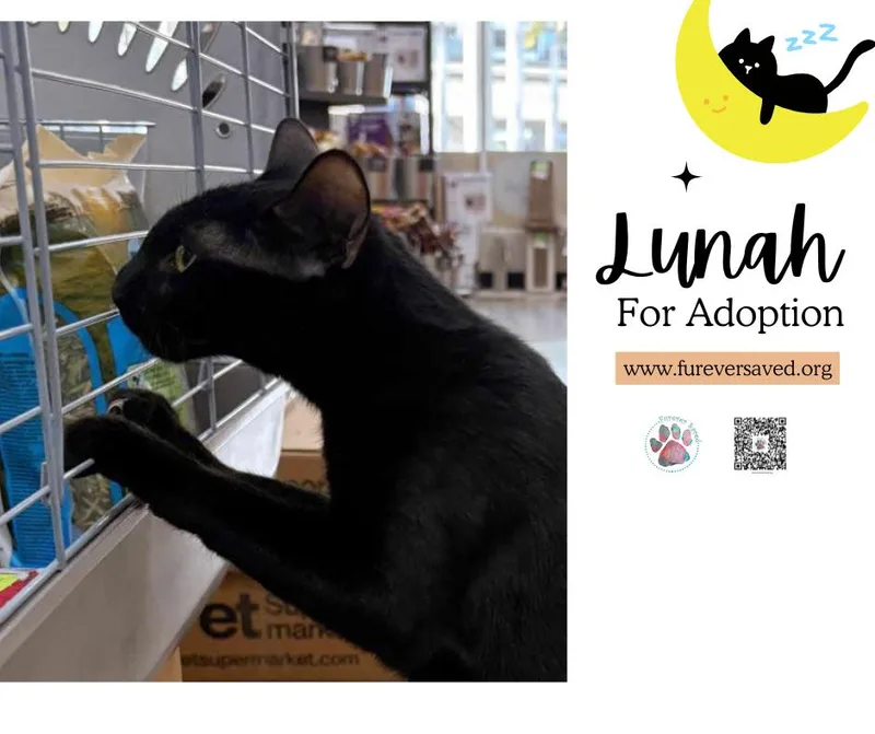Lunah thumbnail 4