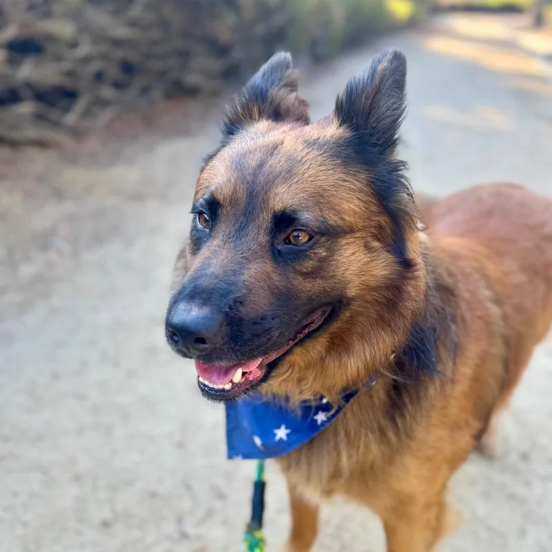 Shadow City Of Industry