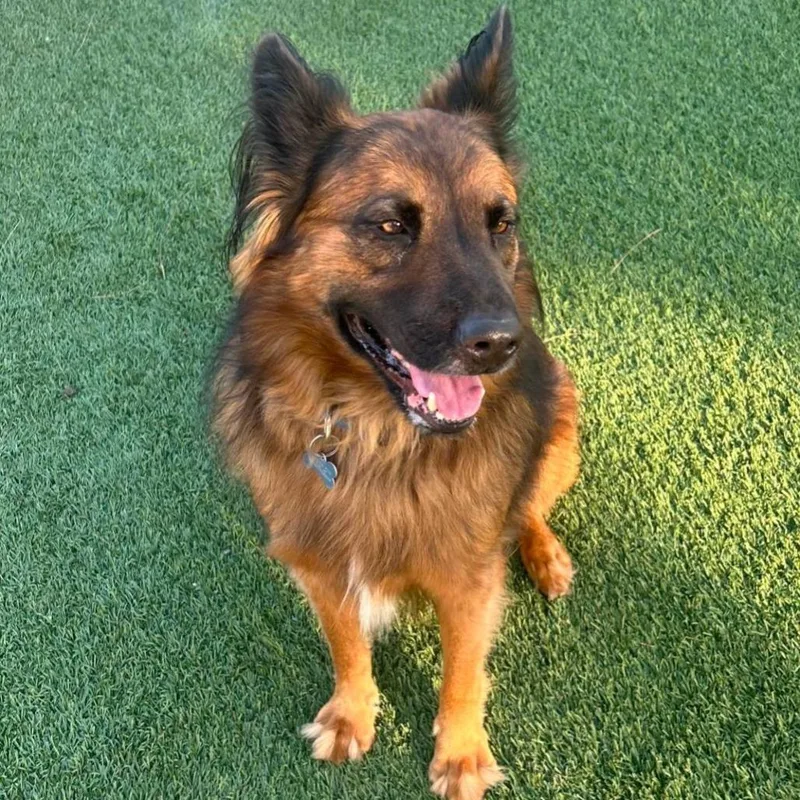 Shadow City Of Industry thumbnail 2