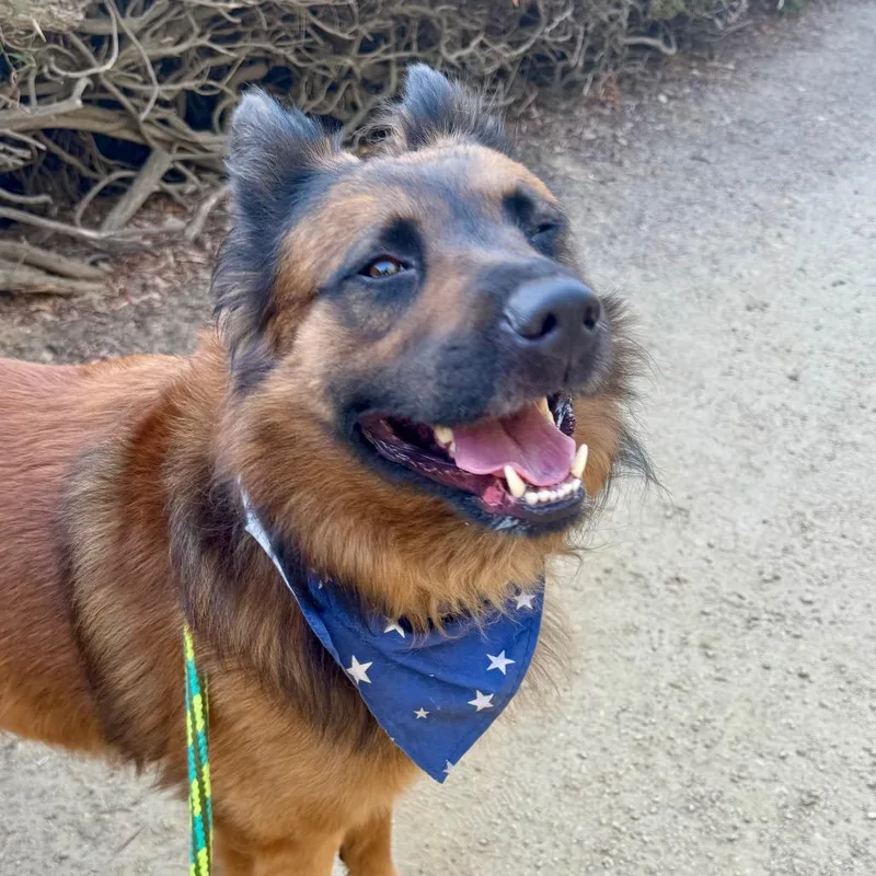 Shadow City Of Industry thumbnail 3