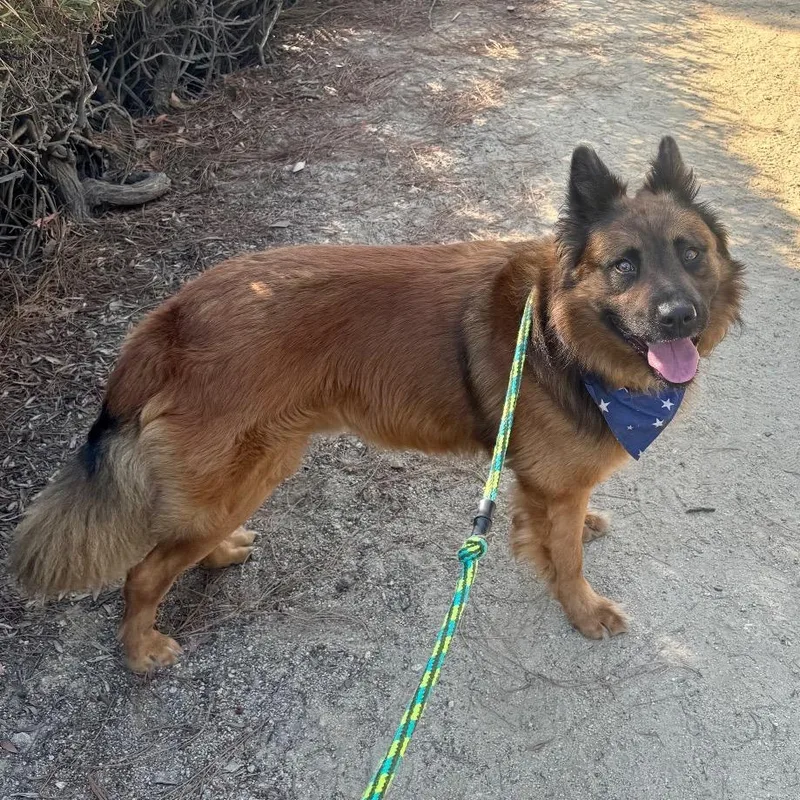 Shadow City Of Industry thumbnail 5