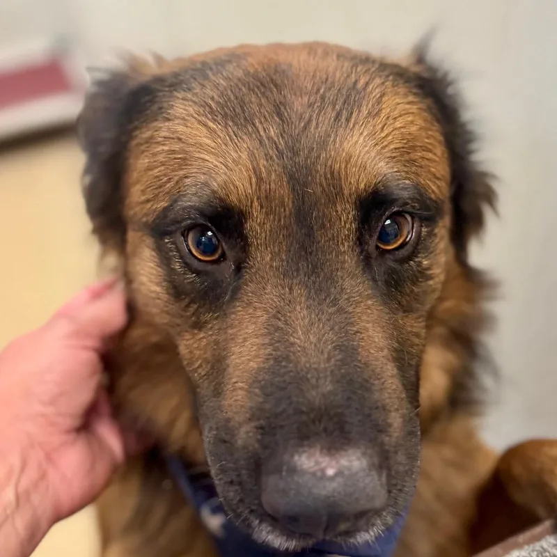 Shadow City Of Industry thumbnail 6