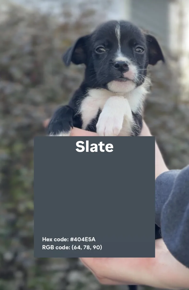 Slate