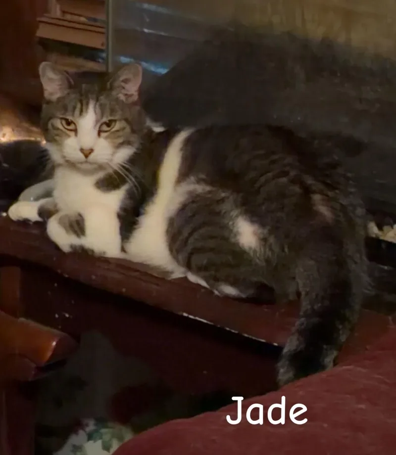 Jade thumbnail 2