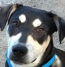 Buzz Loves Hugs! thumbnail 3