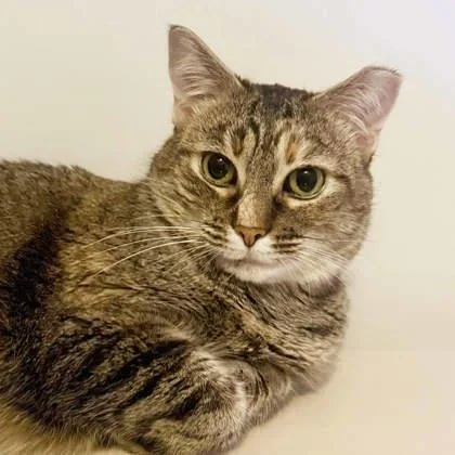 Edith Anne thumbnail 3