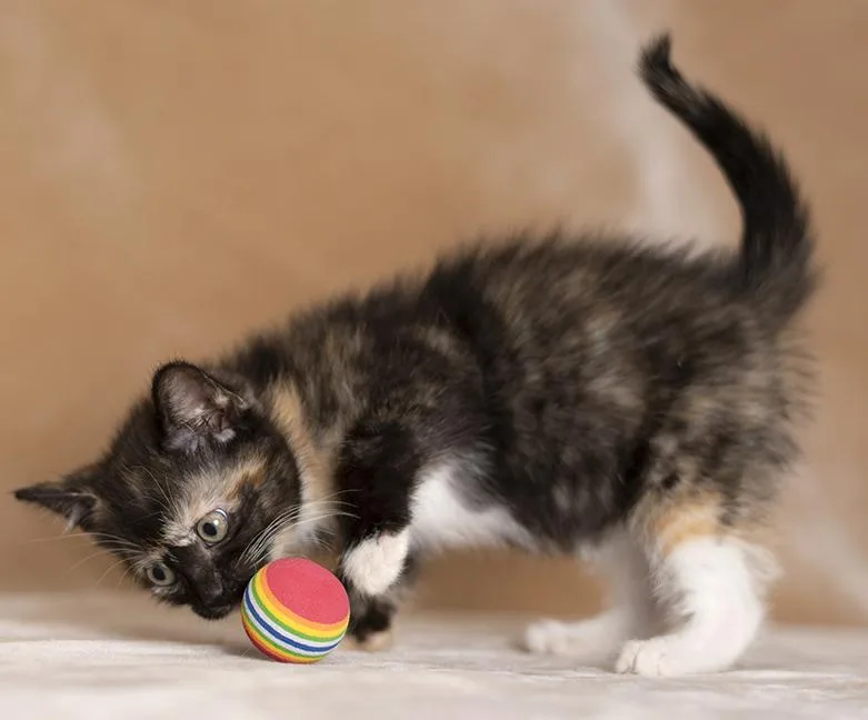 Celine & Mira thumbnail 3