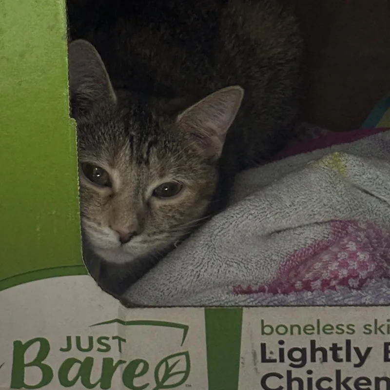 Valentina thumbnail 2