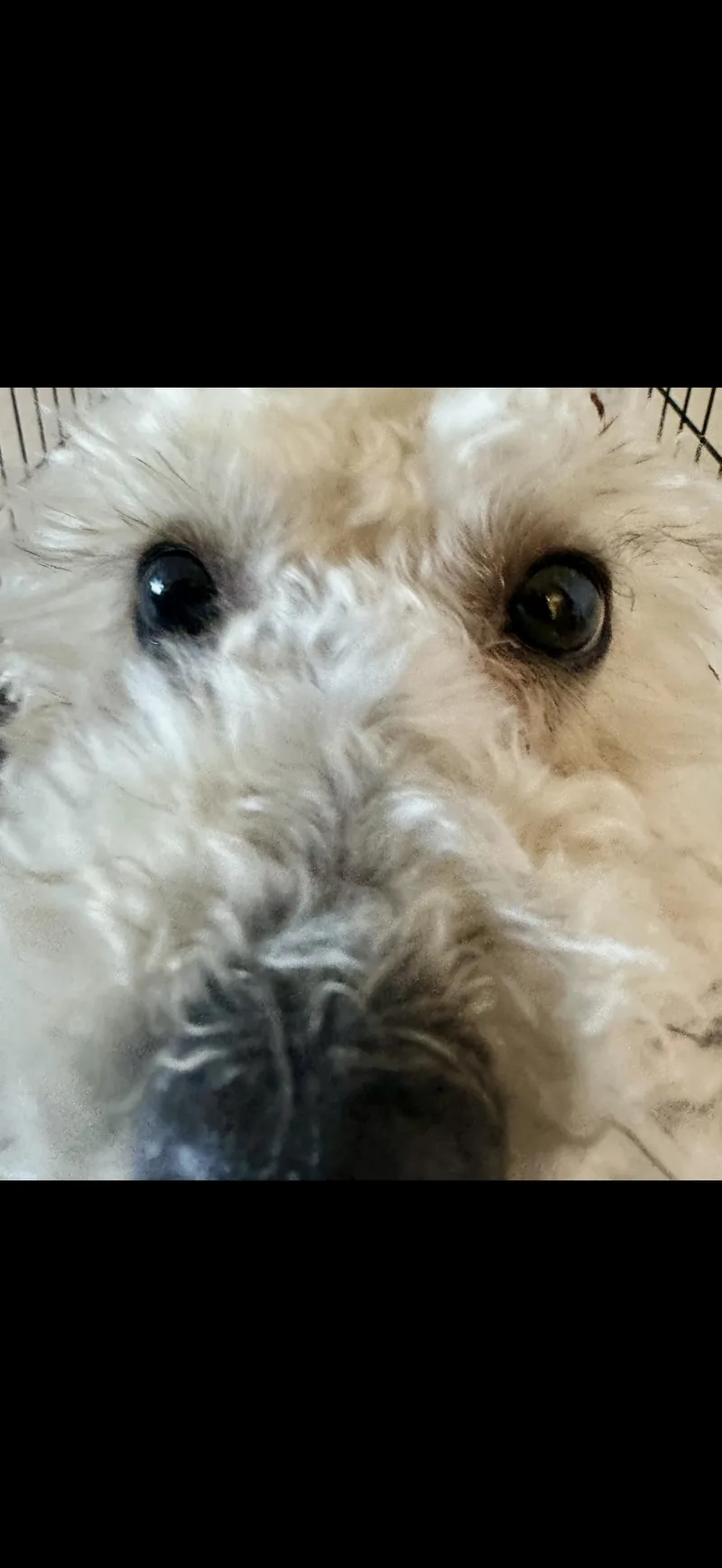 Only  Pounds thumbnail 3