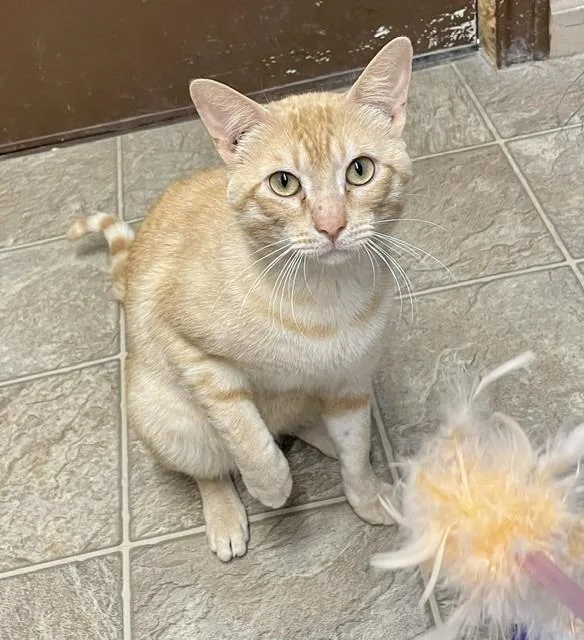 Tigger thumbnail 2