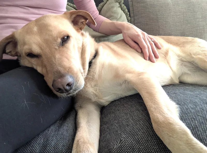 Bonita  Local Gal thumbnail 2