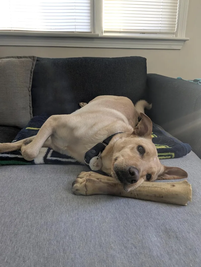 Bonita  Local Gal thumbnail 3