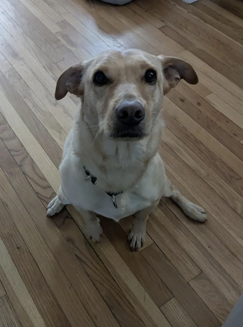 Bonita  Local Gal thumbnail 4