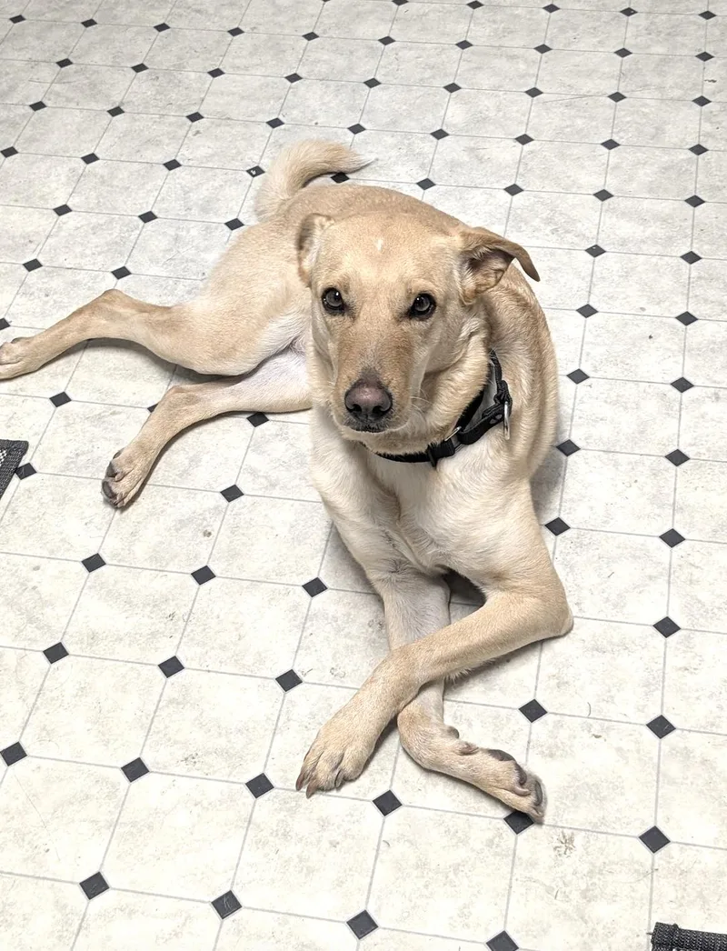 Bonita  Local Gal thumbnail 5