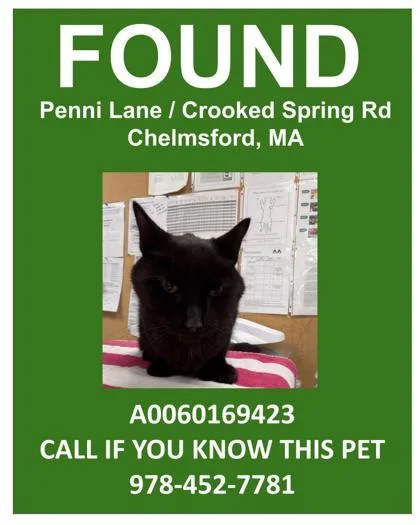 Velveeta thumbnail 2