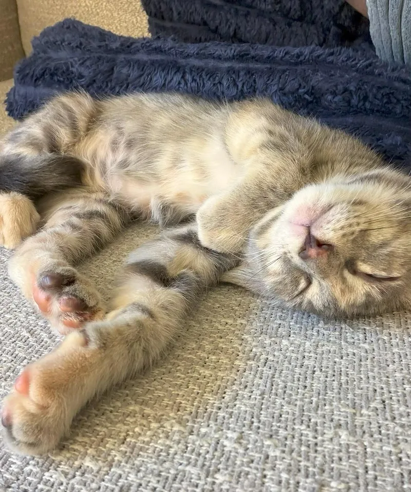 Rosie thumbnail 2