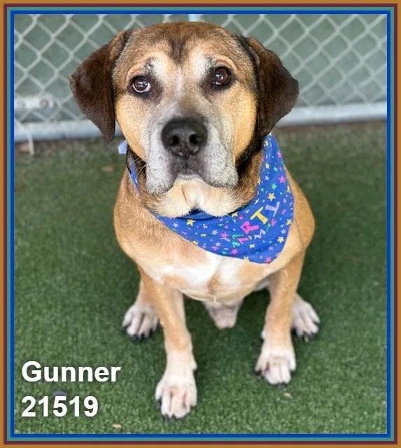 Gunner