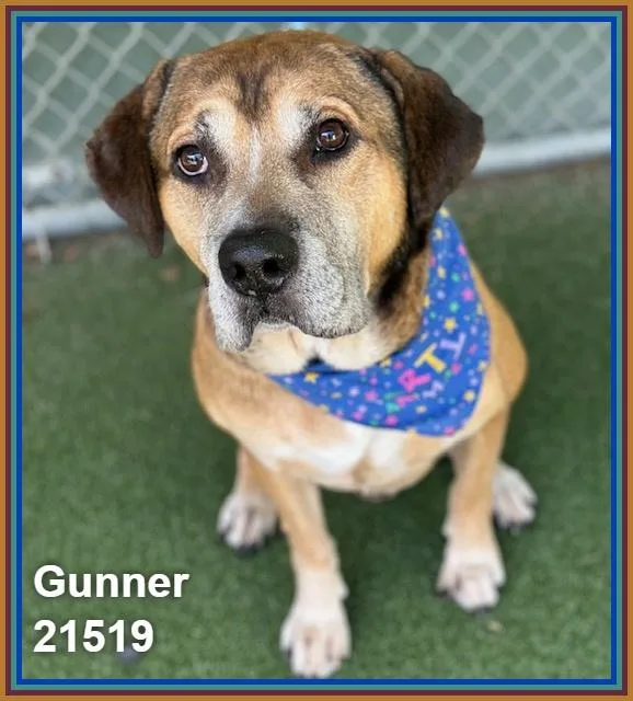 Gunner thumbnail 2