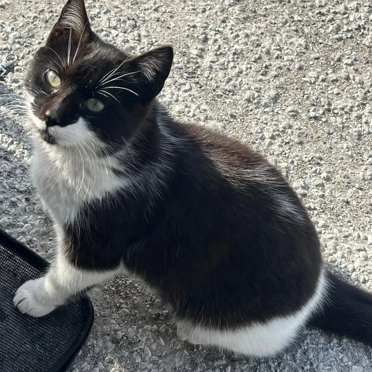 Danny & Dolly thumbnail 3