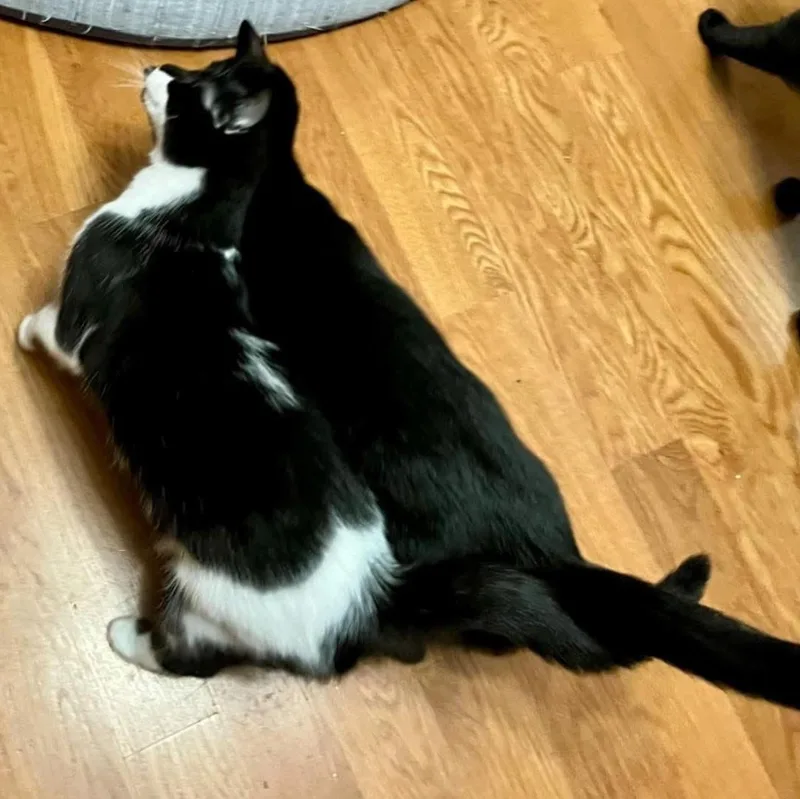 Danny & Dolly thumbnail 4