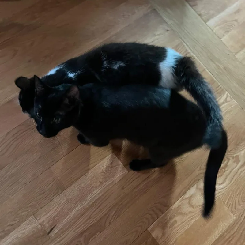 Danny & Dolly thumbnail 5