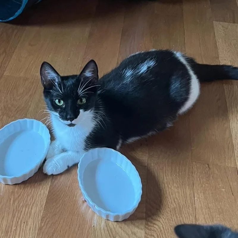 Danny & Dolly thumbnail 6