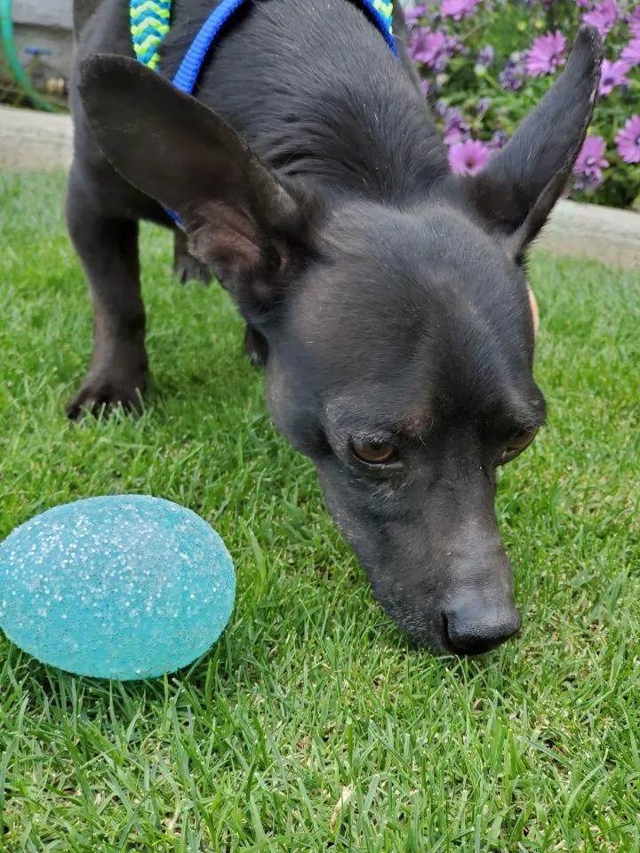 Bruce Wayne thumbnail 6