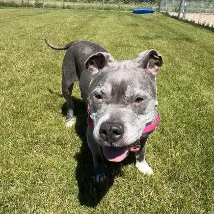 Coco thumbnail 3