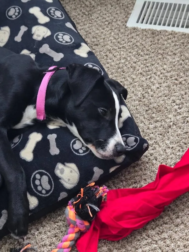Samantha thumbnail 3