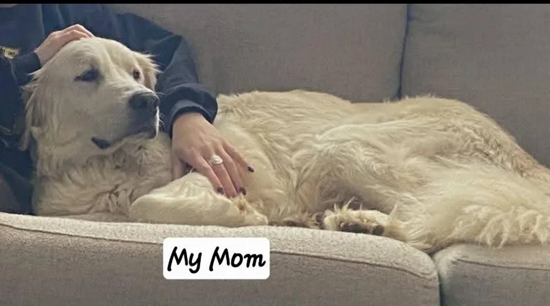 Hs Marco Aka Tank thumbnail 3