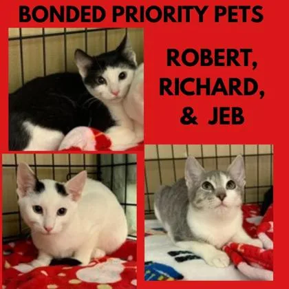 Jeb Winchester `a Priority thumbnail 2