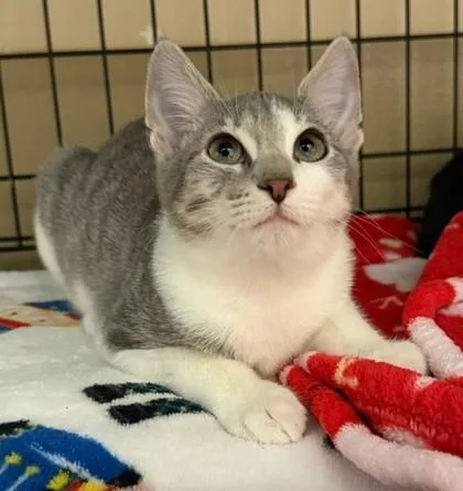 Jeb Winchester `a Priority thumbnail 3