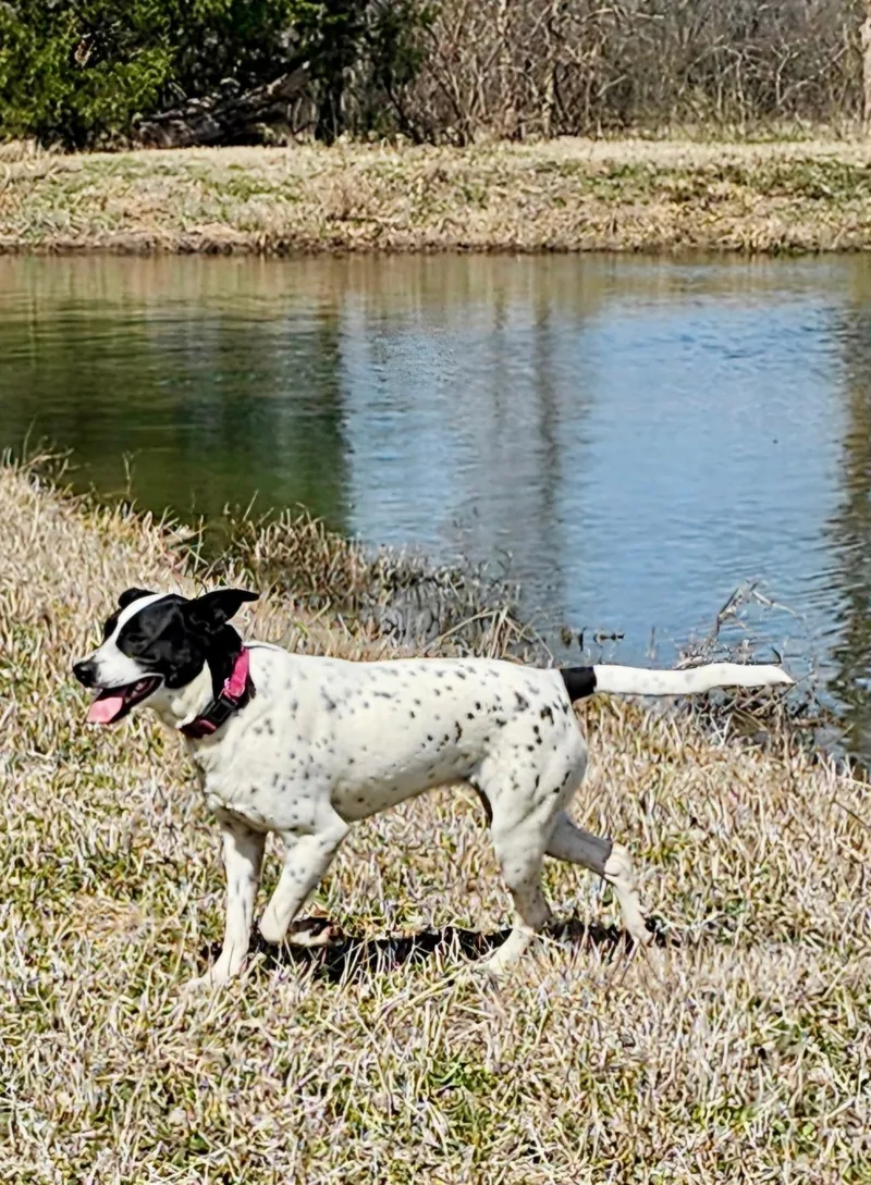Meesha thumbnail 5