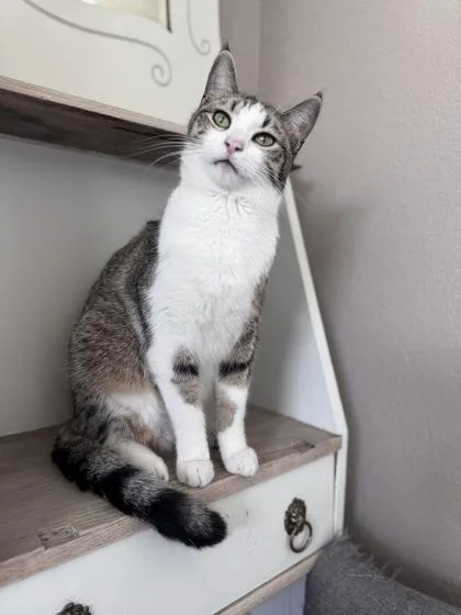 Jack Frost thumbnail 2