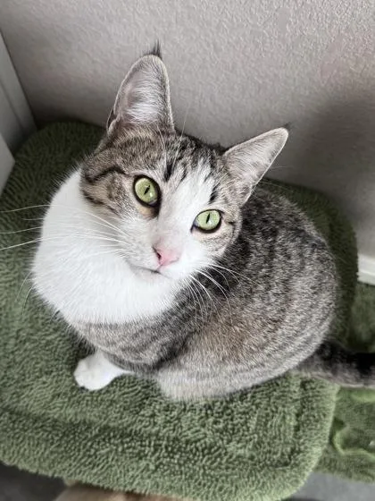 Jack Frost thumbnail 3